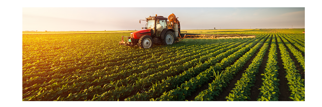 Agriculture and Food Security